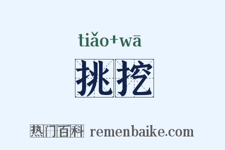 挑挖是什么意思的图片